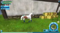 /album/jorvikstar/del-22-png/